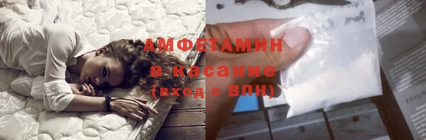 PSILOCYBIN Горняк