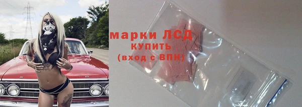 PSILOCYBIN Горняк