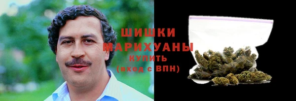 молекула духа Горнозаводск