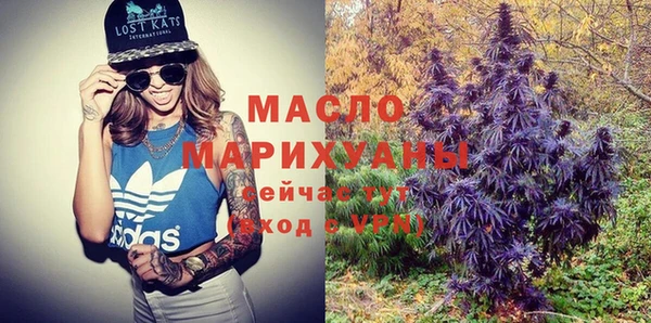 молекула духа Горнозаводск