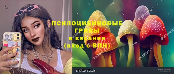 молекула духа Горнозаводск
